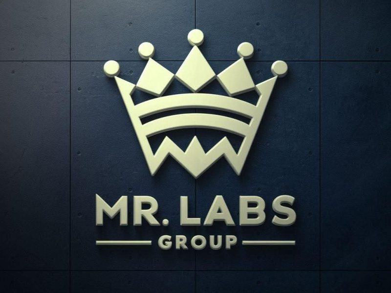 MR LAB'S instant cash loan