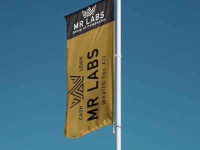 MR LAB'S instant cash loan