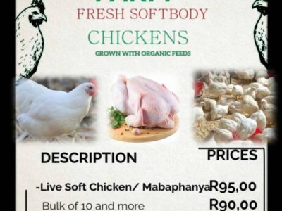 NTSUNZU village farm