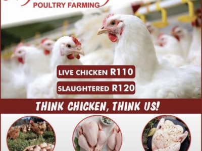 Ngoho Reality poultry farming