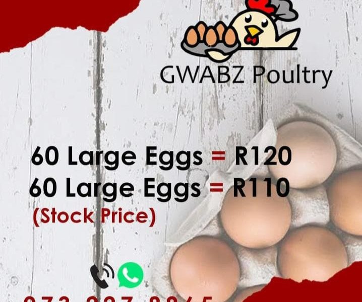 GWABZ POULTRY