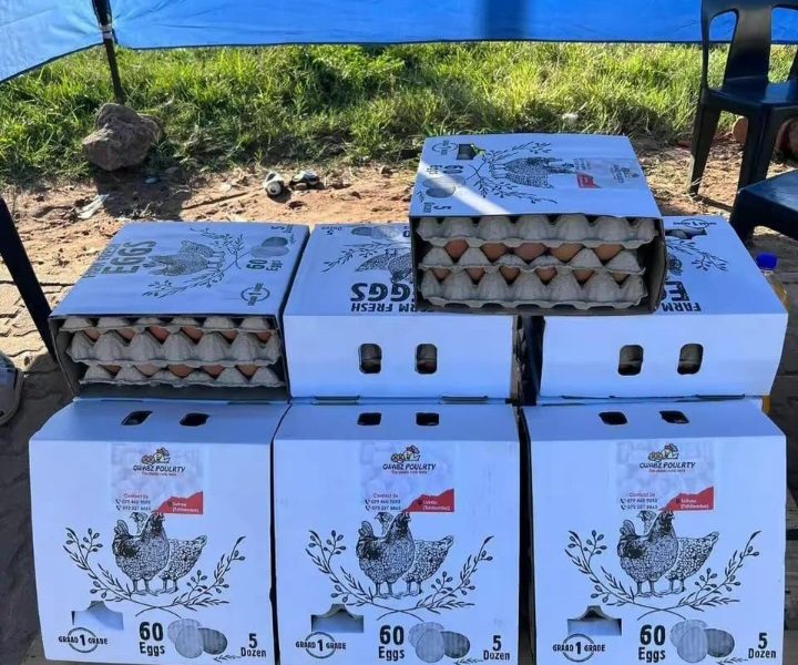 GWABZ POULTRY