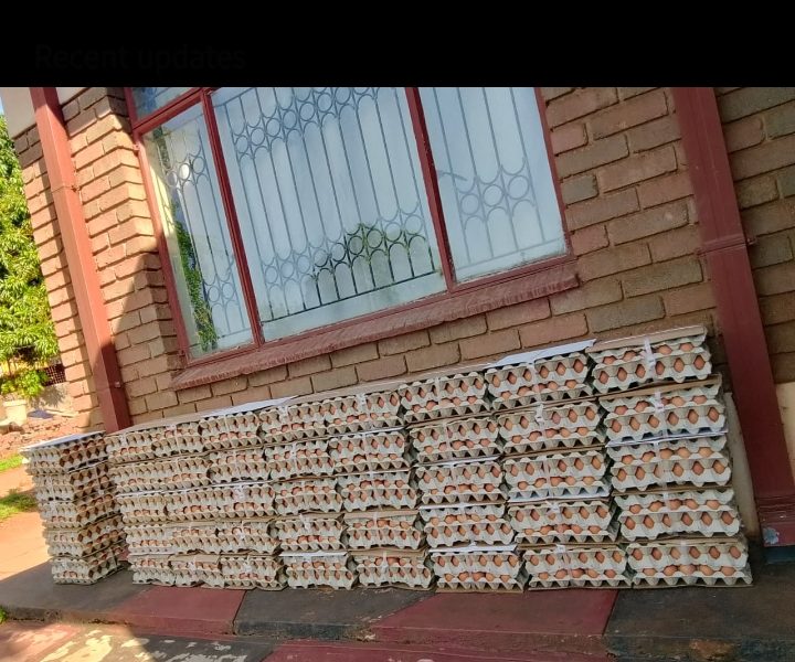 GWABZ POULTRY