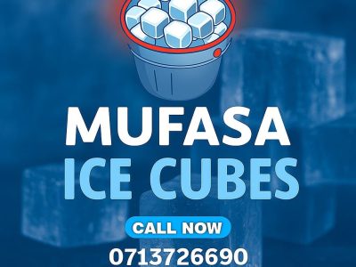 Mufasa ice cubes