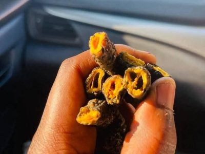 Mopani worms ( matomani)