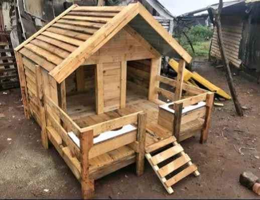 ROY DOG KENNELS