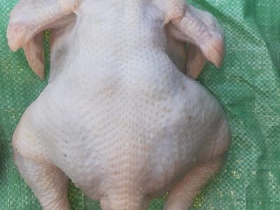 Ori's Poultry Farm