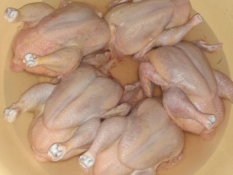 Ori's Poultry Farm