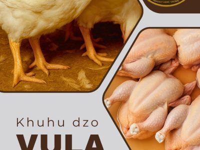 Ori's Poultry Farm